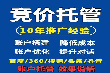 某电商平台SEM竞价广告的转化率提升案例